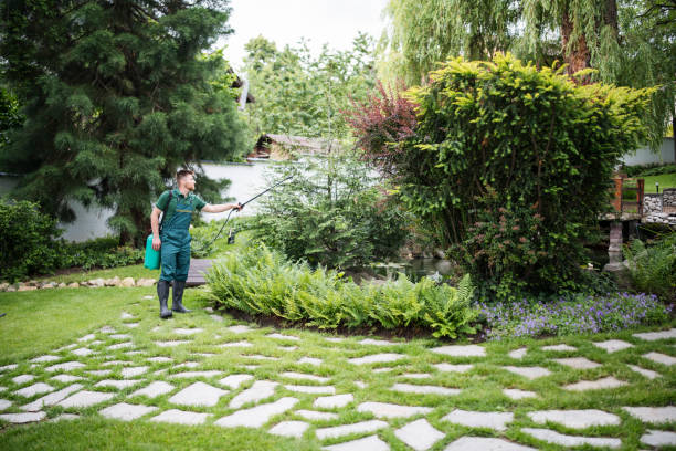Best Best Pest Control Companies  in South Sumter, SC