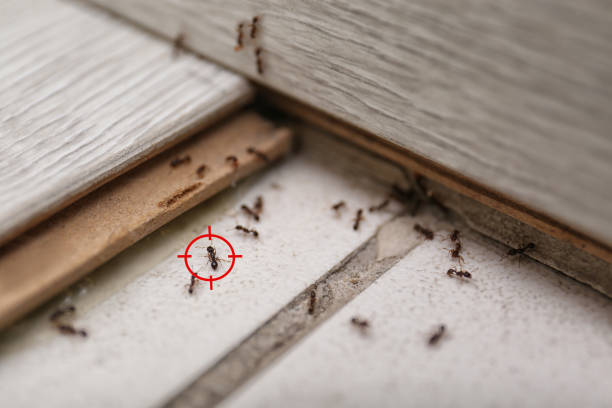 South Sumter, SC Pest Control Company