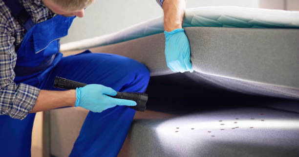 Best Pest Prevention Services  in South Sumter, SC