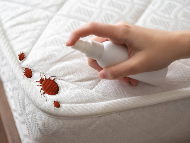 Pest Control for Restaurants in South Sumter, SC