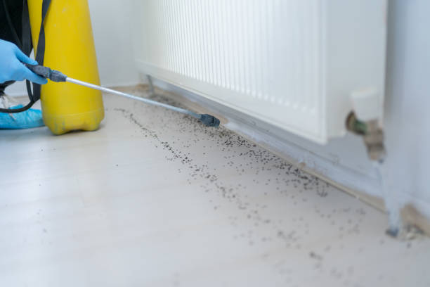 Best Best Pest Control Companies  in South Sumter, SC