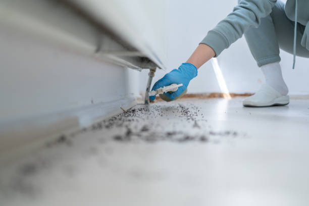 Reliable South Sumter, SC Pest Control Solutions