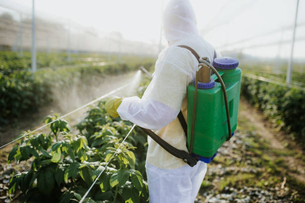 Best Pest Inspection Near Me  in South Sumter, SC